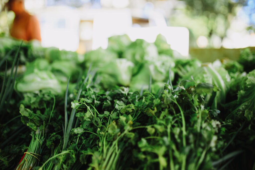 Lechuga, cilantro y albahaca: las verduras que podrían introducir en México el parásito que provoca la “diarrea explosiva”