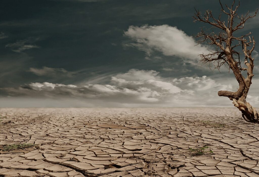 ¡Alerta global! El Niño podría causar sequías extremas e inundaciones devastadoras